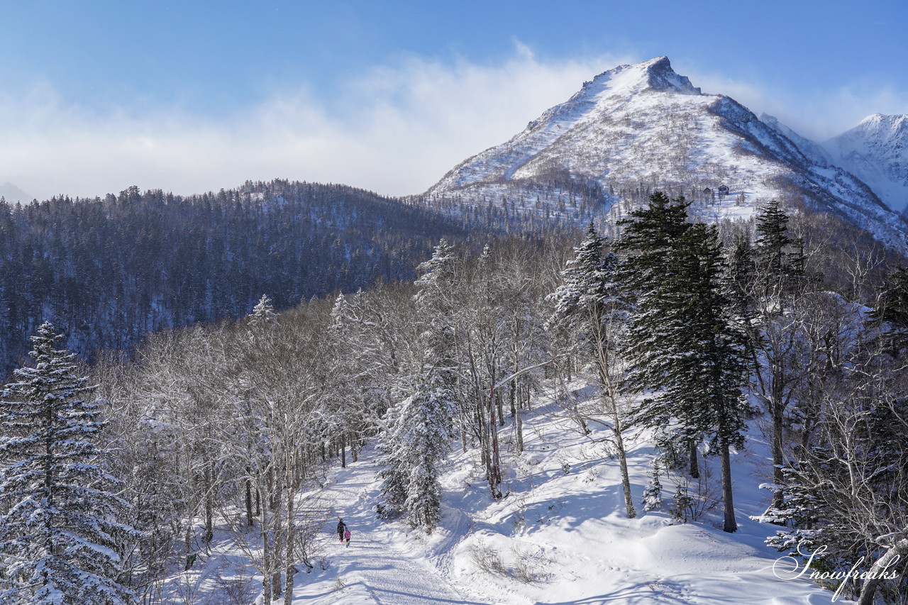 層雲峡黒岳ロープウェイスキー場 ふわふわのパウダースノーが舞い降りる『神々の遊ぶ庭』にシュプールを♪